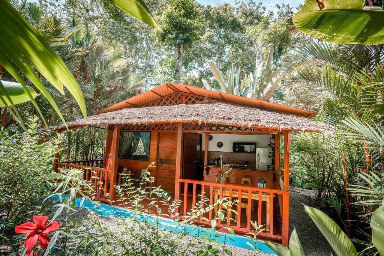 Casitas Las Flores Puerto Viejo de Talamanca 외부 사진