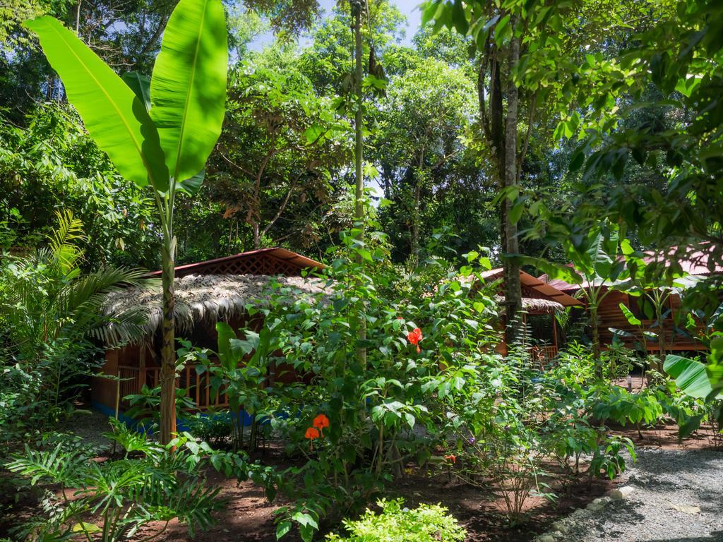 Casitas Las Flores Puerto Viejo de Talamanca 외부 사진