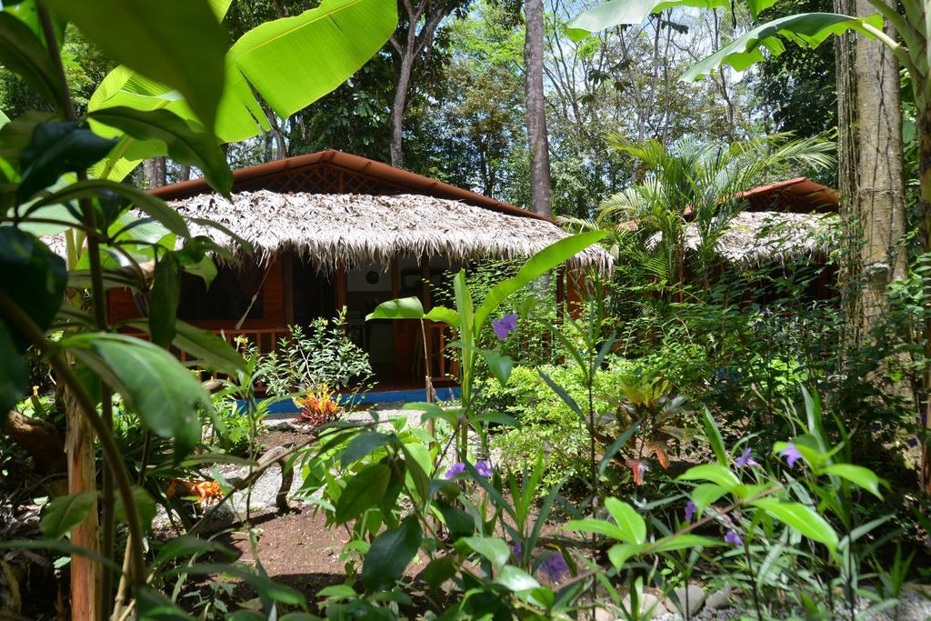 Casitas Las Flores Puerto Viejo de Talamanca 외부 사진