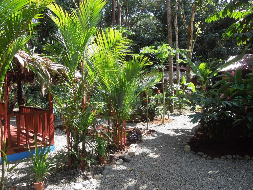 Casitas Las Flores Puerto Viejo de Talamanca 외부 사진