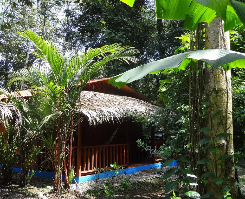 Casitas Las Flores Puerto Viejo de Talamanca 외부 사진