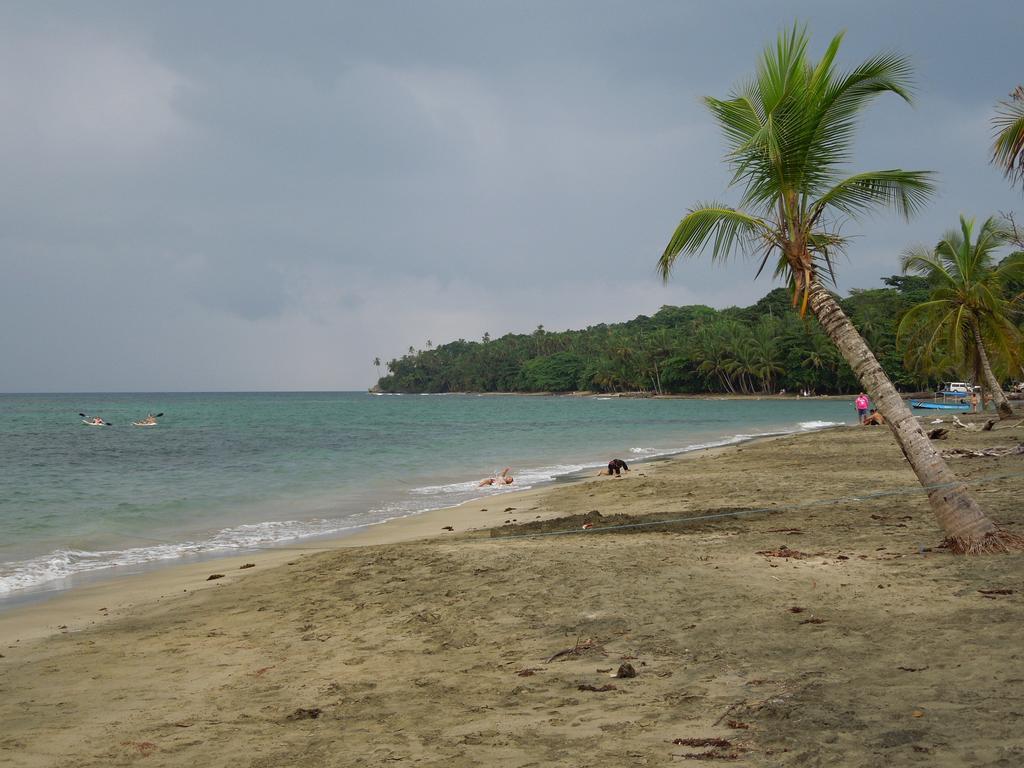 Casitas Las Flores Puerto Viejo de Talamanca 외부 사진