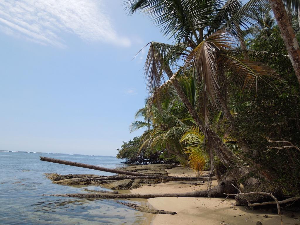 Casitas Las Flores Puerto Viejo de Talamanca 외부 사진
